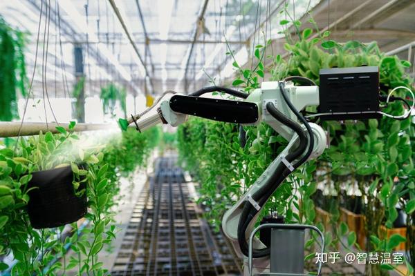 物聯網技術研發 智能溫室與植物工廠高效運營的核心驅動力